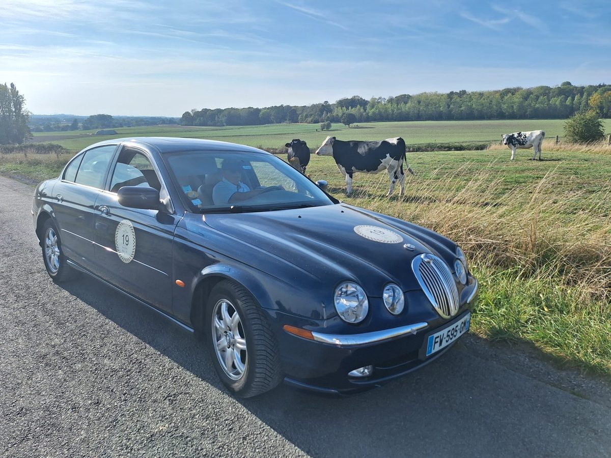 Berline ancienne sur une route de campagne, des vaches dans le pré